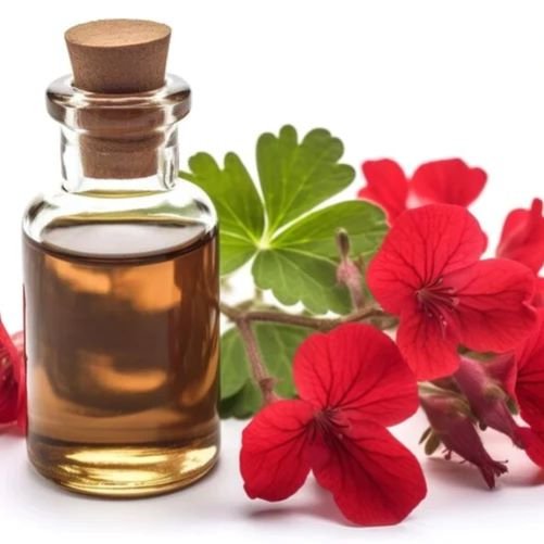 Geranium