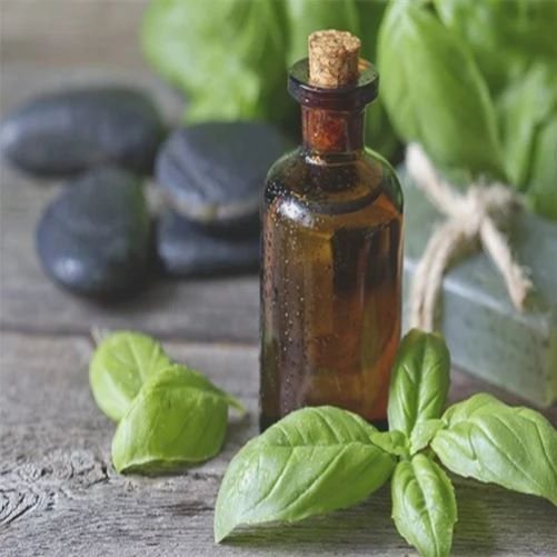 Lemon Basil