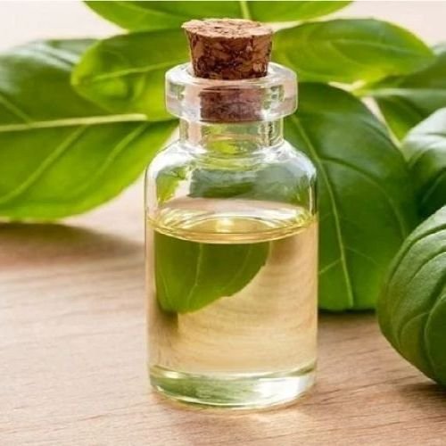 Basil