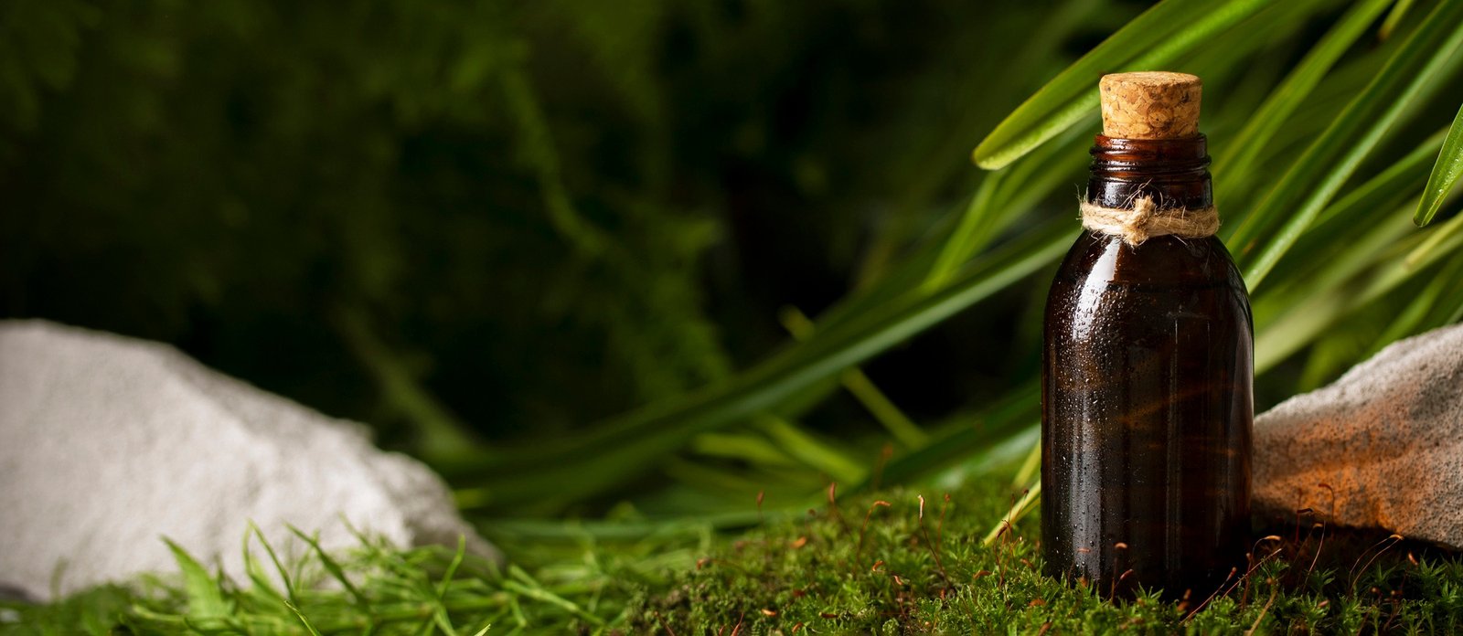 essential-oil-banner